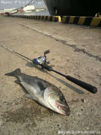 �����Х�