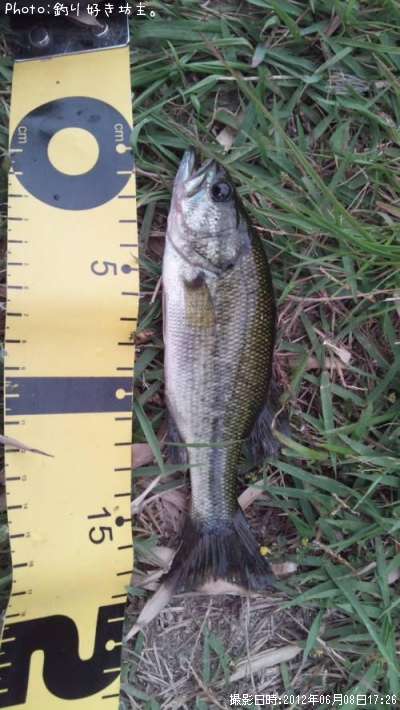 �֥�å��Х�