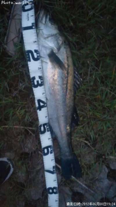 �����Х�