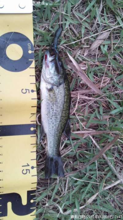 �֥�å��Х�