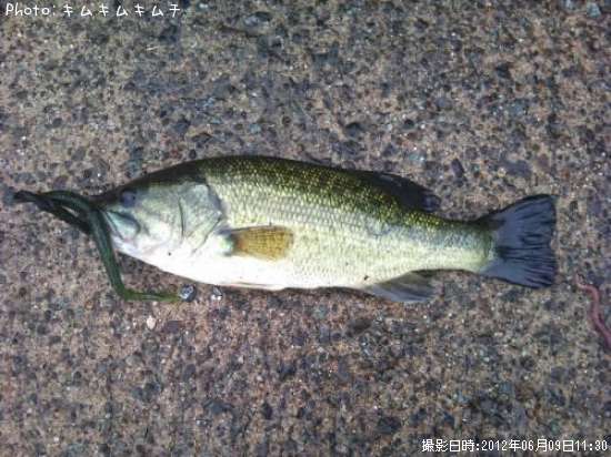 �֥�å��Х�