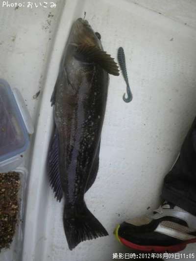 �����ʥ�