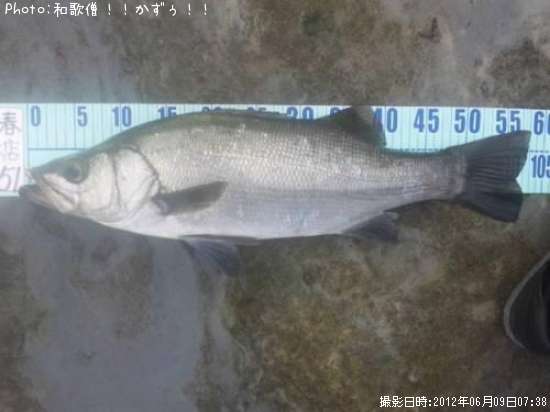 �ҥ饹����