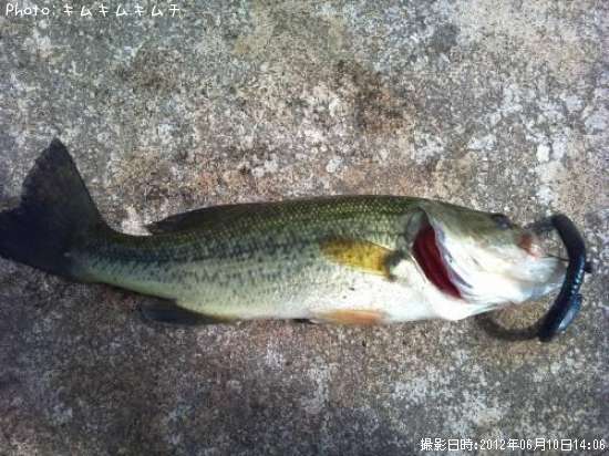 �֥�å��Х�