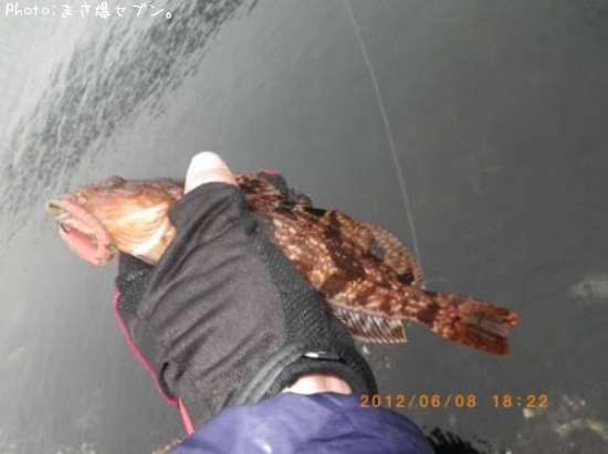 �����ʥ�