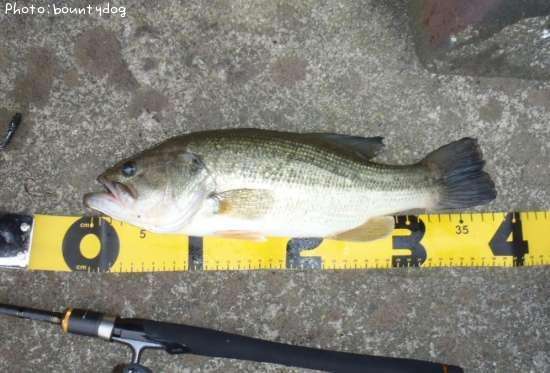 �֥�å��Х�