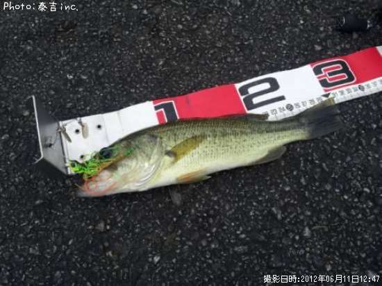 �֥�å��Х�