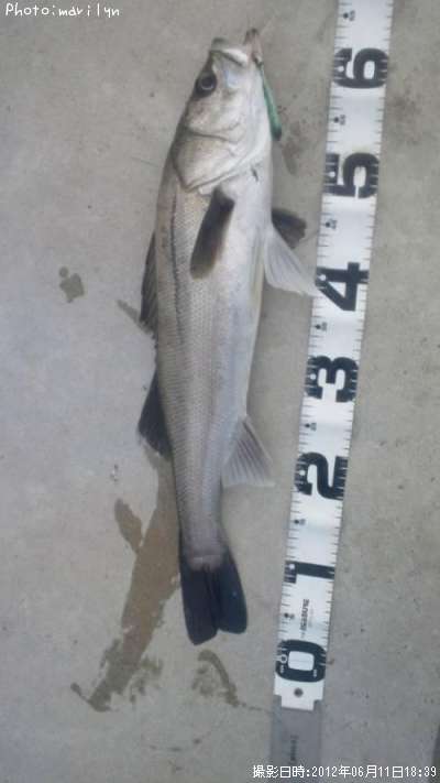 �����Х�