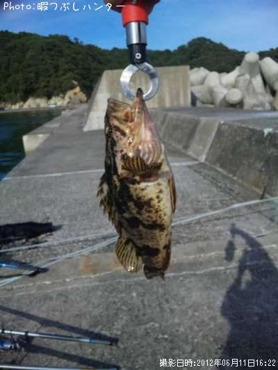 �٥å�������