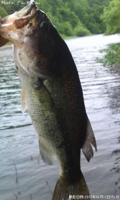 �֥�å��Х�