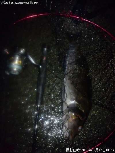 �����ʥ�