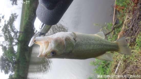 �֥�å��Х�