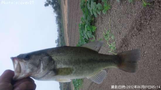 �֥�å��Х�