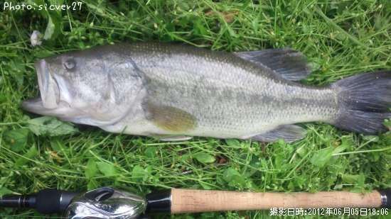 �֥�å��Х�