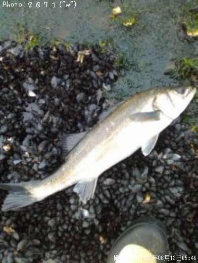 �����Х�