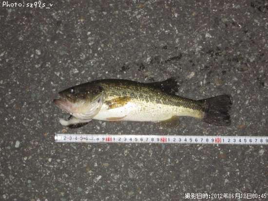 �֥�å��Х�