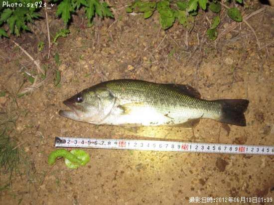 �֥�å��Х�