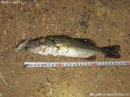 �֥�å��Х�