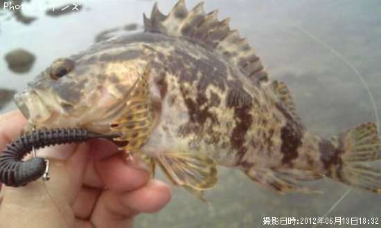 �����Υ���Х�