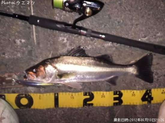 �����Х�