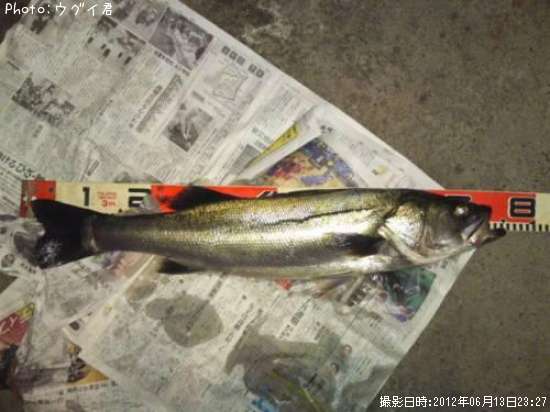 �����Х�