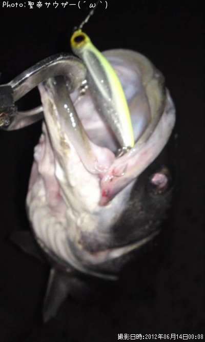 �����Х�