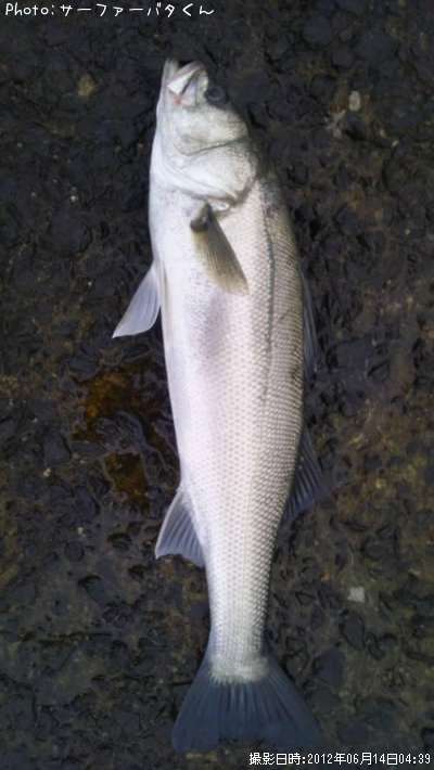 �����Х�