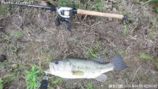 �֥�å��Х�