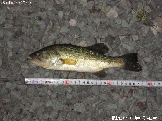 �֥�å��Х�