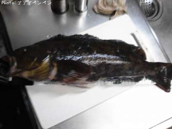 �����ʥ�