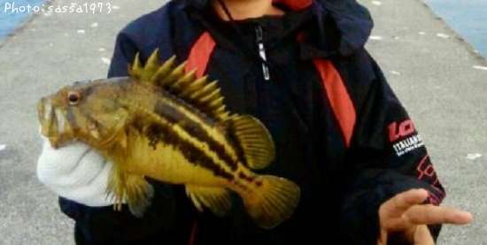 ���ޥ���