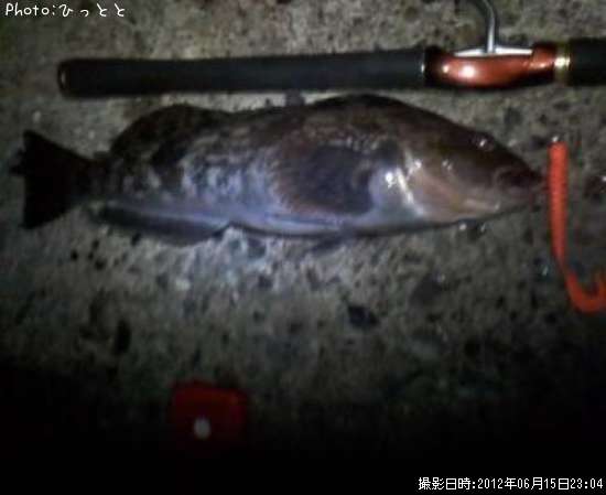 �����ʥ�