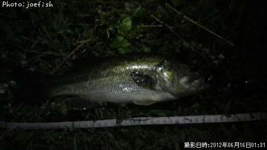 �֥�å��Х�