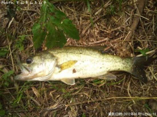 �֥�å��Х�