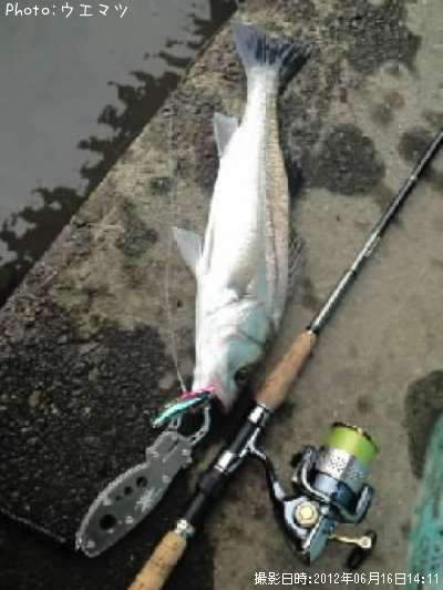 �����Х�