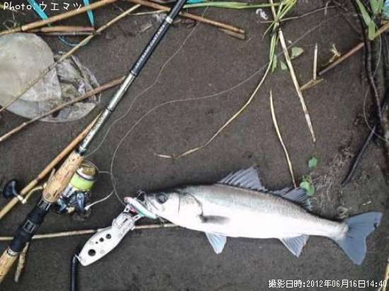 �����Х�