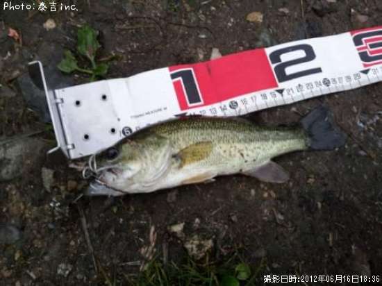 �֥�å��Х�