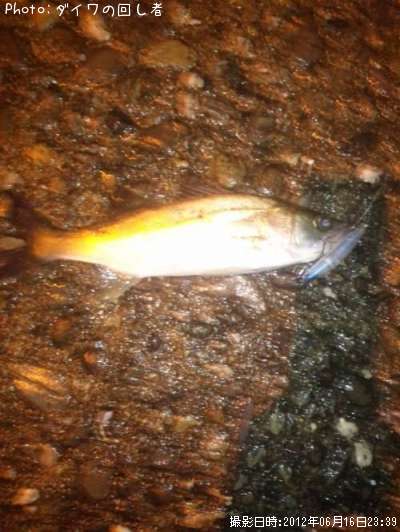 �����Х�