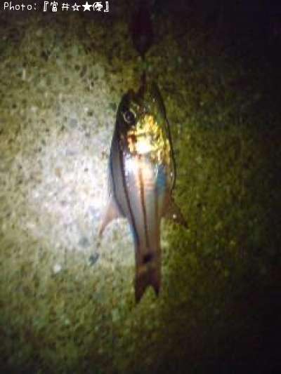 ���ޥ�����