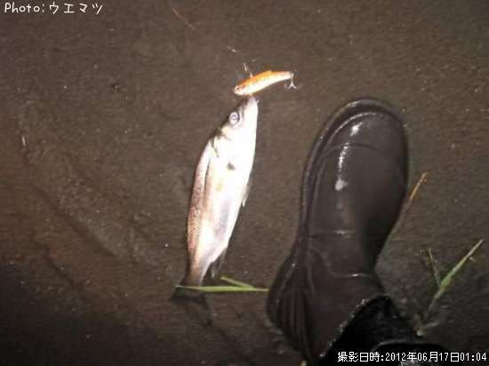 �����Х�