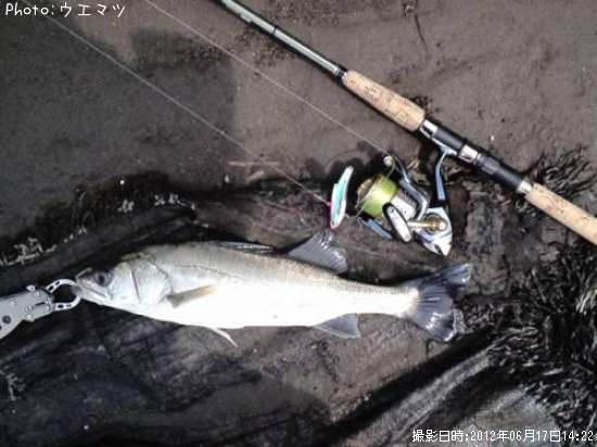 �����Х�