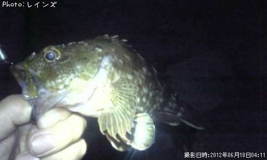 �����������������������������Υ�