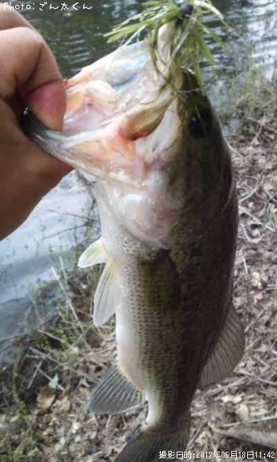 �֥�å��Х�