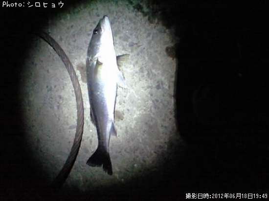 �����Х�