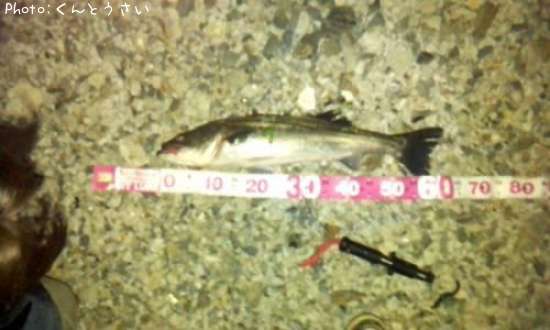 �����Х�