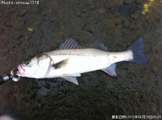 �����Х�