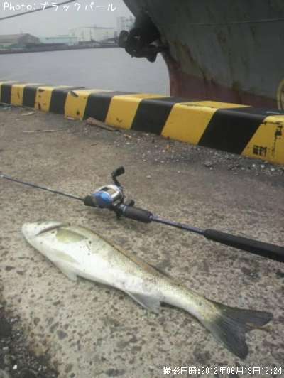 �����Х�