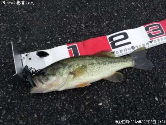 �֥�å��Х�