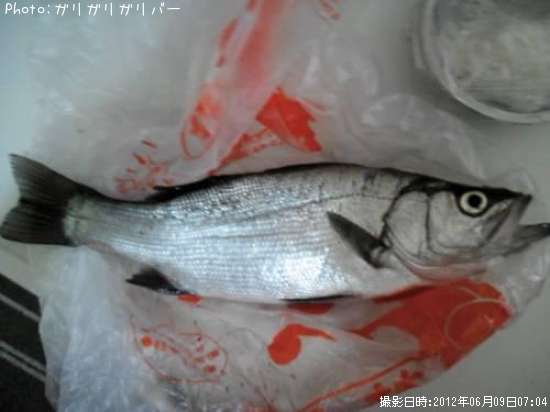 �ҥ饹����