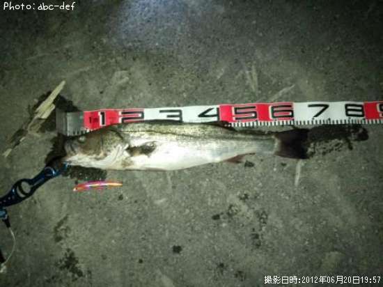 �����Х�